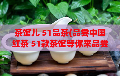 茶馆儿 51品茶(品尝中国红茶 51款茶馆等你来品尝！)