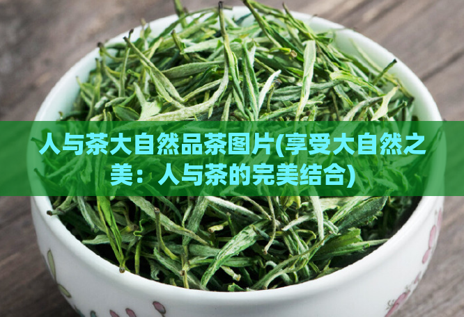 人与茶大自然品茶图片(享受大自然之美：人与茶的完美结合)