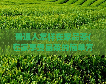 普通人怎样在家品茶(在家享受品茶的简单方法,适合普通人。)
