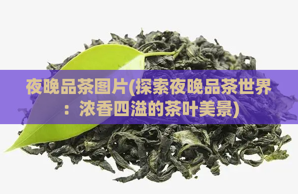 夜晚品茶图片(探索夜晚品茶世界:浓香四溢的茶叶美景)