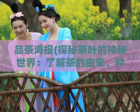品茶海报(探秘茶叶的神秘世界：了解茶的由来、种类及制作方法)