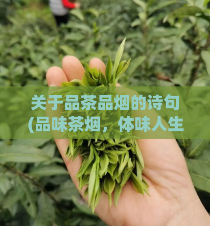 关于品茶品烟的诗句(品味茶烟，体味人生。)
