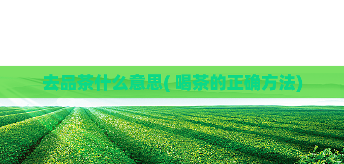 去品茶什么意思( 喝茶的正确方法)