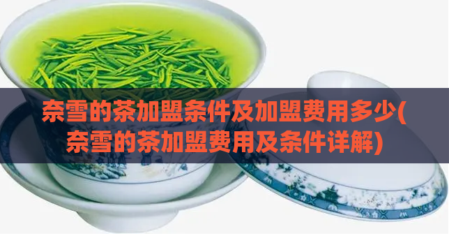 奈雪的茶加盟条件及加盟费用多少(奈雪的茶加盟费用及条件详解)