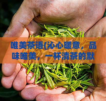 唯美茶语(沁心暖意，品味唯美，一杯清茶的默契之旅)