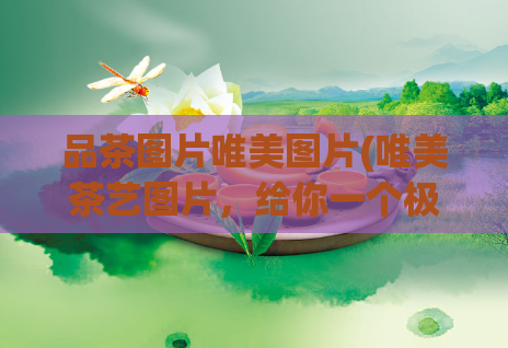 品茶图片唯美图片(唯美茶艺图片，给你一个极致唯美的茶道体验)