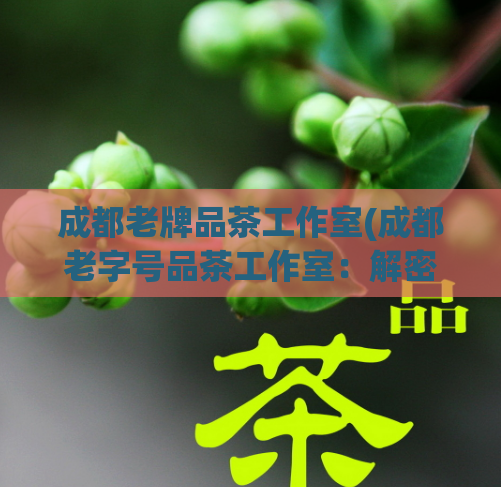 成都老牌品茶工作室(成都老字号品茶工作室:解密川茶文化)
