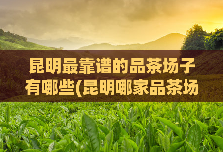 昆明最靠谱的品茶场子有哪些(昆明哪家品茶场子最可信赖?——专家推荐!)