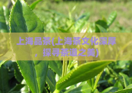 上海品茶(上海茶文化深厚,探寻茶道之美)