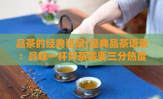 品茶的经典语录(经典品茶语录：品味一杯好茶需要三分热度！)