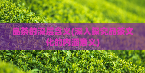品茶的深层含义(深入探究品茶文化的内涵意义)
