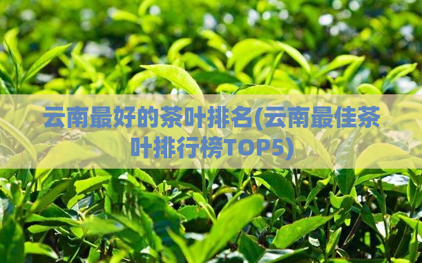 云南最好的茶叶排名(云南最佳茶叶排行榜TOP5)