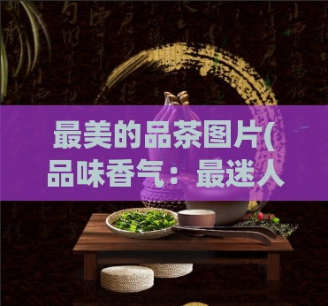 最美的品茶图片(品味香气：最迷人的品茶图片)