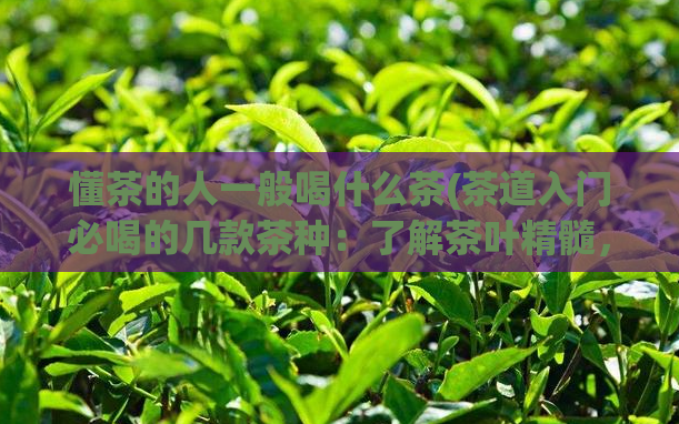 懂茶的人一般喝什么茶(茶道入门必喝的几款茶种:了解茶叶精髓,一杯好茶品味人生)