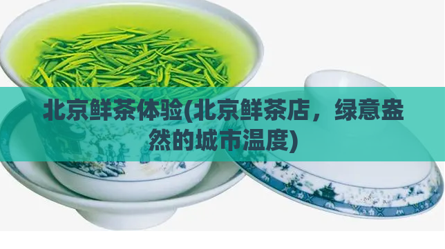 北京鲜茶体验(北京鲜茶店，绿意盎然的城市温度)