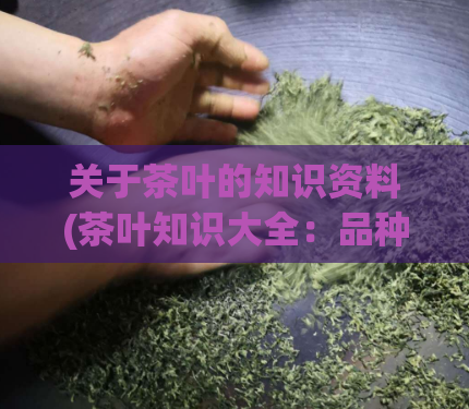 关于茶叶的知识资料(茶叶知识大全：品种、功效、选购、冲泡全解析！)