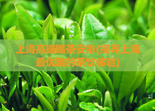 上海高端喝茶安排(探寻上海最优雅的茶饮体验)