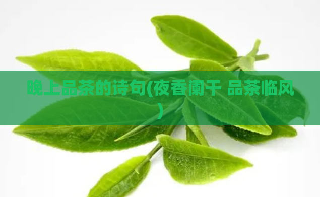 晚上品茶的诗句(夜香阑干 品茶临风)