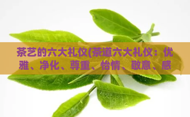 茶艺的六大礼仪(茶道六大礼仪:优雅、净化、尊重、怡情、敬意、感恩)