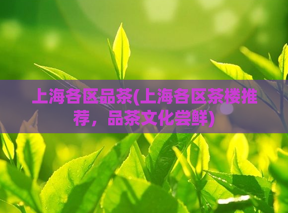 上海各区品茶(上海各区茶楼推荐，品茶文化尝鲜)