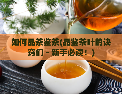 如何品茶鉴茶(品鉴茶叶的诀窍们 - 新手必读！)