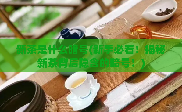 新茶是什么暗号(新手必看！揭秘新茶背后隐含的暗号！)