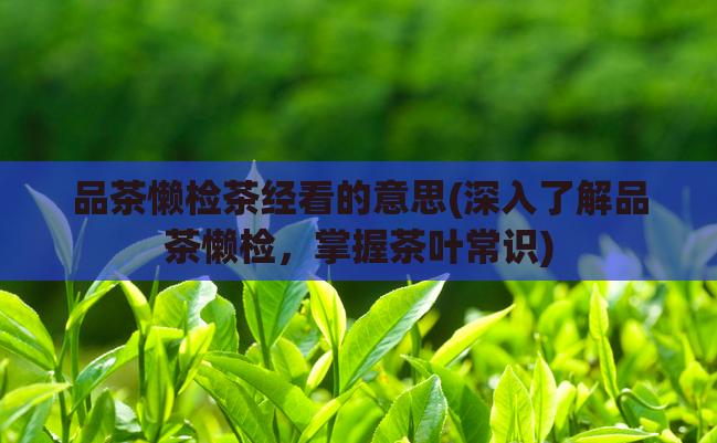 品茶懒检茶经看的意思(深入了解品茶懒检，掌握茶叶常识)