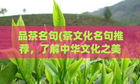 品茶名句(茶文化名句推荐，了解中华文化之美)