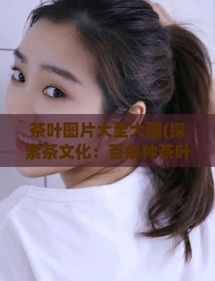 茶叶图片大全大图(探索茶文化：百余种茶叶的形态与风情)