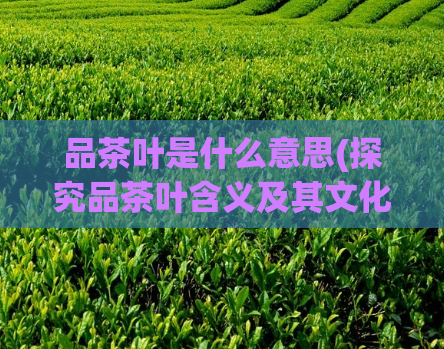 品茶叶是什么意思(探究品茶叶含义及其文化价值)