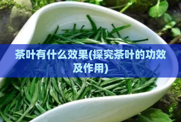 茶叶有什么效果(探究茶叶的功效及作用)
