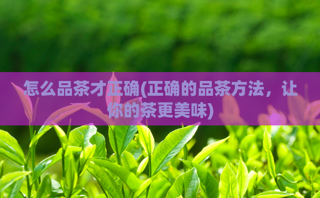怎么品茶才正确(正确的品茶方法，让你的茶更美味)