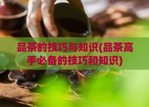 品茶的技巧与知识(品茶高手必备的技巧和知识)