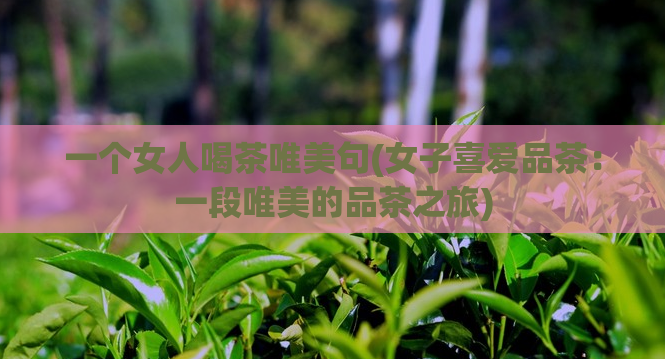 一个女人喝茶唯美句(女子喜爱品茶：一段唯美的品茶之旅)
