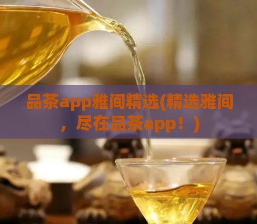 品茶app雅间精选(精选雅间，尽在品茶app！)