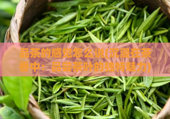 品茶的感觉怎么说(沉浸在茶香中:品尝茶叶的独特魅力)