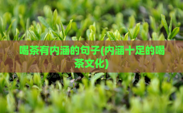 喝茶有内涵的句子(内涵十足的喝茶文化)