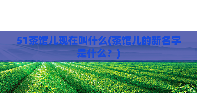 51茶馆儿现在叫什么(茶馆儿的新名字是什么?)