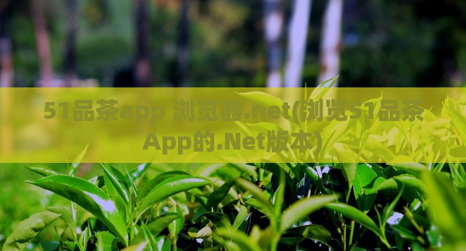 51品茶app 浏览器.net(浏览51品茶App的.Net版本)