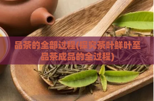 品茶的全部过程(探究茶叶鲜叶至品茶成品的全过程)
