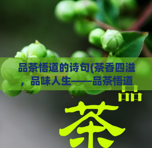 品茶悟道的诗句(茶香四溢，品味人生——品茶悟道的诗意体验)