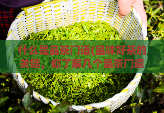什么是品茶门道(品味好茶的关键，你了解几个品茶门道？)