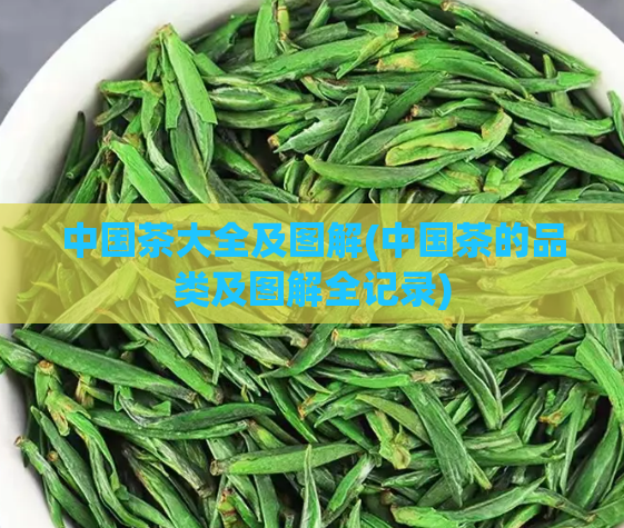 中国茶大全及图解(中国茶的品类及图解全记录)