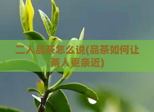 二人品茶怎么说(品茶如何让两人更亲近)