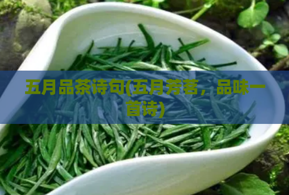 五月品茶诗句(五月芳茗,品味一首诗)