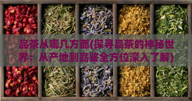 品茶从哪几方面(探寻品茶的神秘世界：从产地到品鉴全方位深入了解)