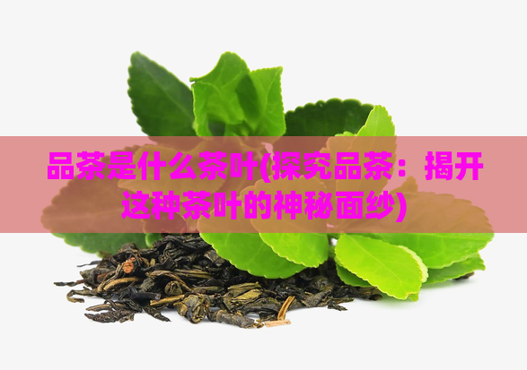 品茶是什么茶叶(探究品茶:揭开这种茶叶的神秘面纱)
