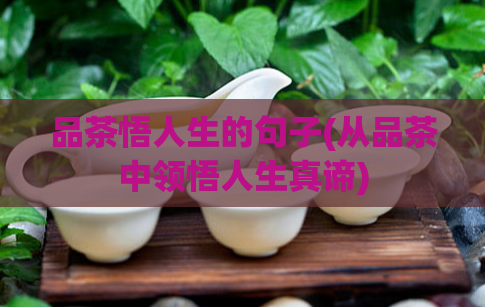 品茶悟人生的句子(从品茶中领悟人生真谛)