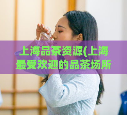 上海品茶资源(上海最受欢迎的品茶场所推荐)