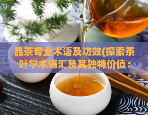 品茶专业术语及功效(探索茶叶学术语汇及其独特价值：了解茶叶功效的专业指南)
